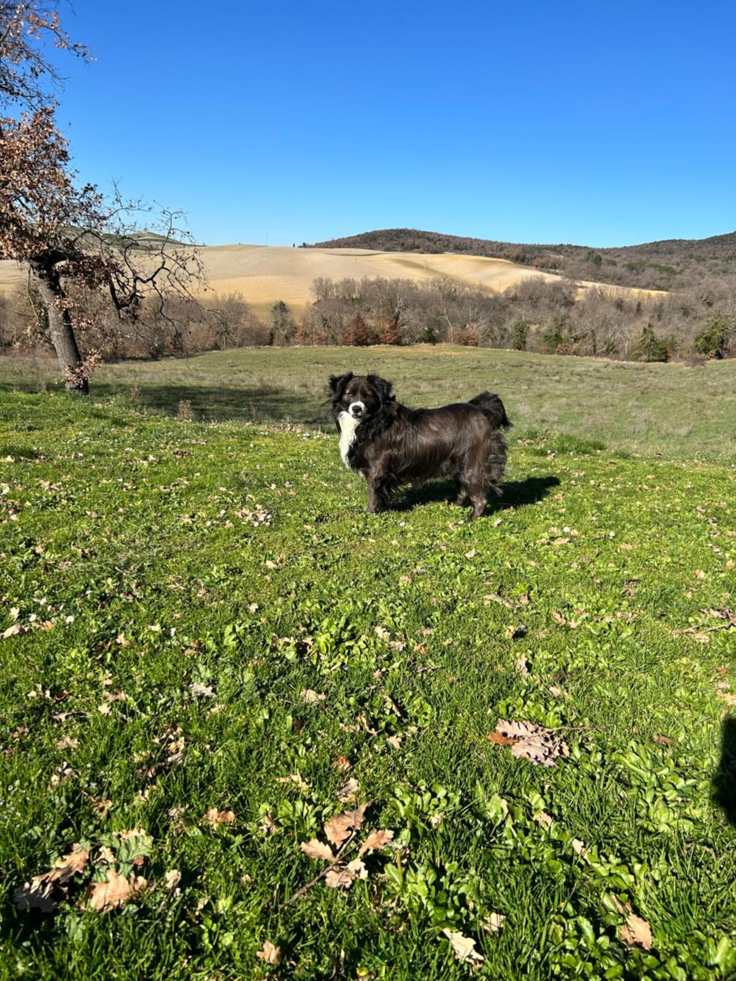 פיינצה Agriturismo Bagnolo מראה חיצוני תמונה